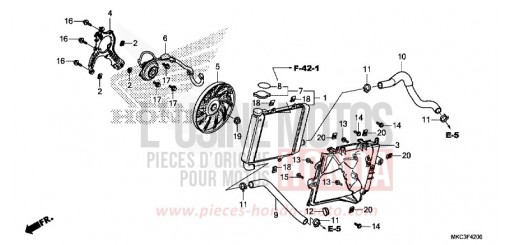 RADIATEUR (D.) GL1800DAJ de 2018